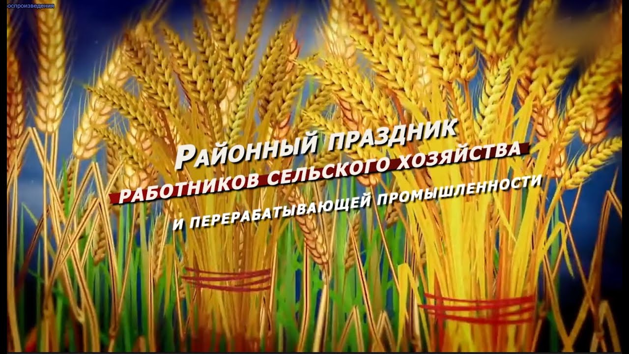 Чествование тружеников АПК Даровского района в рамках празднования Дня работника сельского хозяйства и перерабатывающей промышленности.