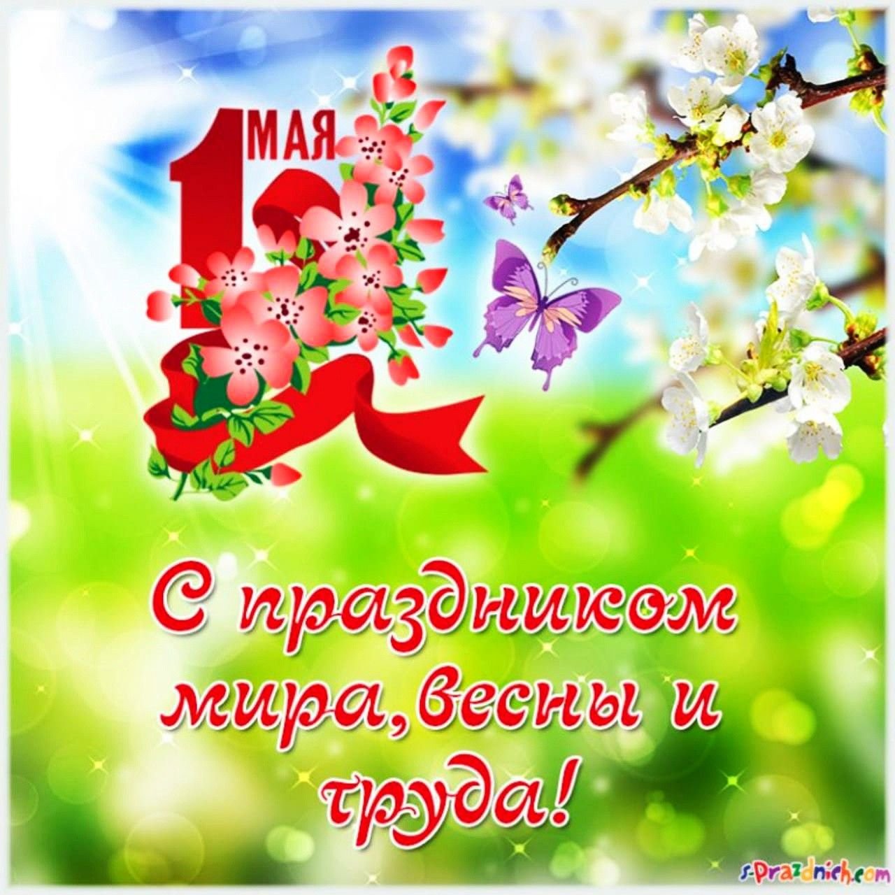 Поздравление с праздником весны и труда от губернатора Соколова А.В..
