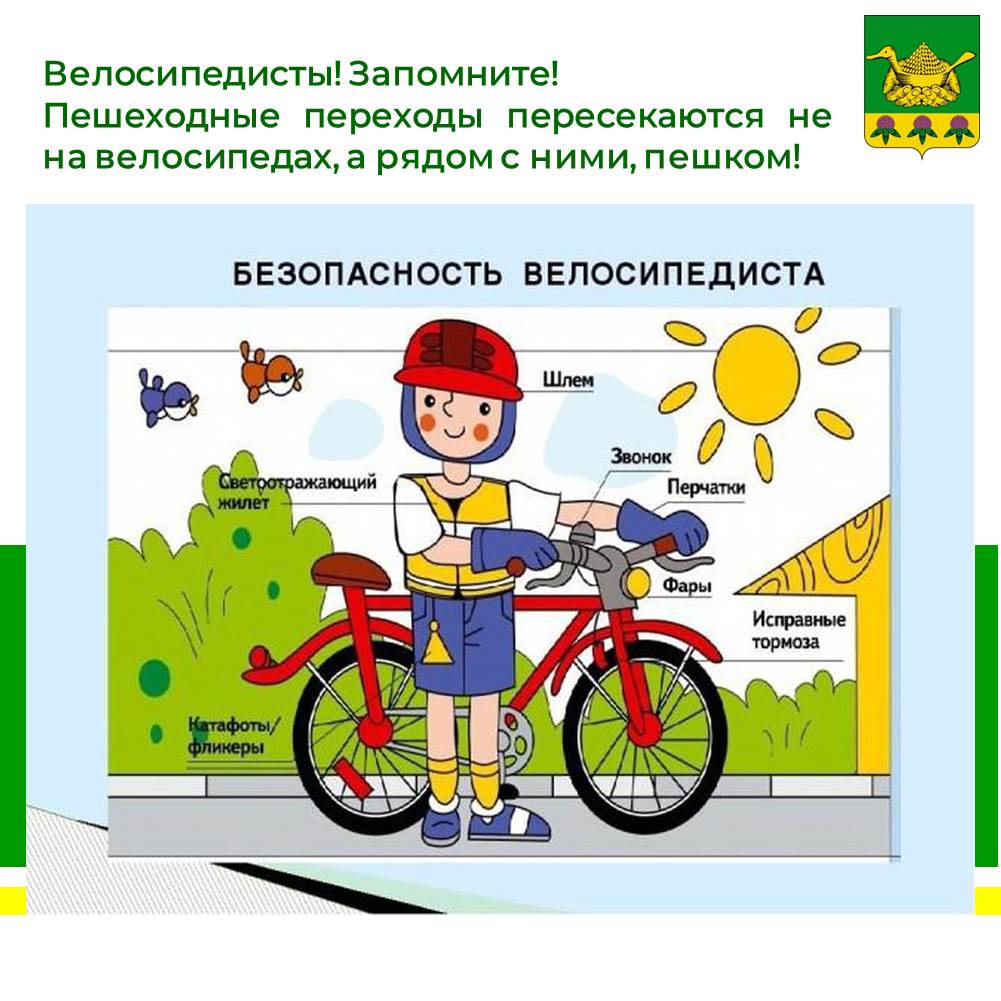 Госавтоинспекция Кировской области напоминает велосипедистам.