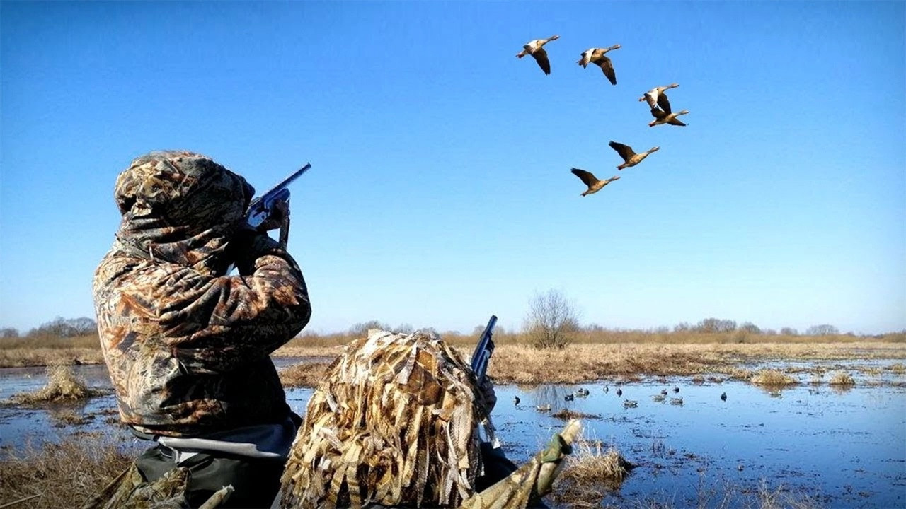 Весенняя охота в Кировской области в 2024 году.