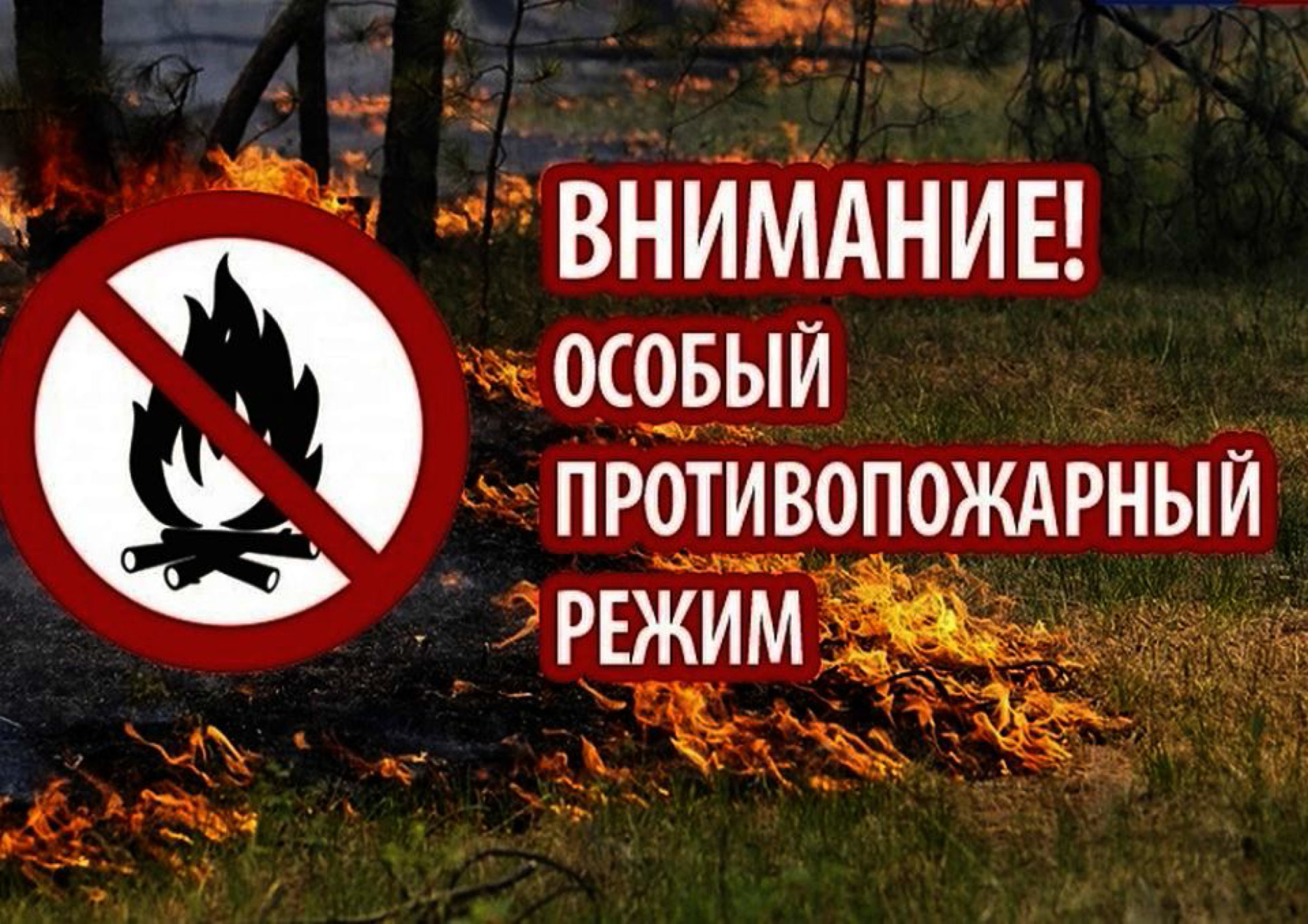 В Кировской области введен особый противопожарный режим.